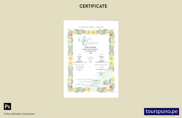 Plantilla de certificado de nacimiento decorativa (conmemorativa) del Territorio